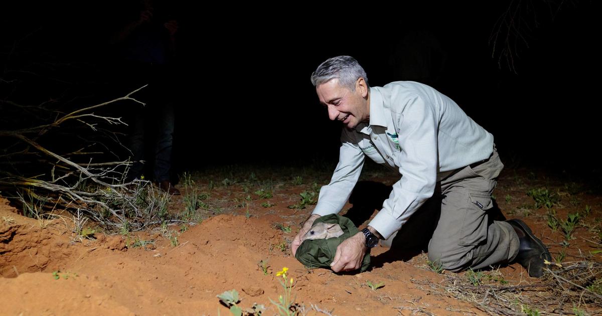 Dubbo Zoo Conservation powerhouse Taronga Conservation Society Australia